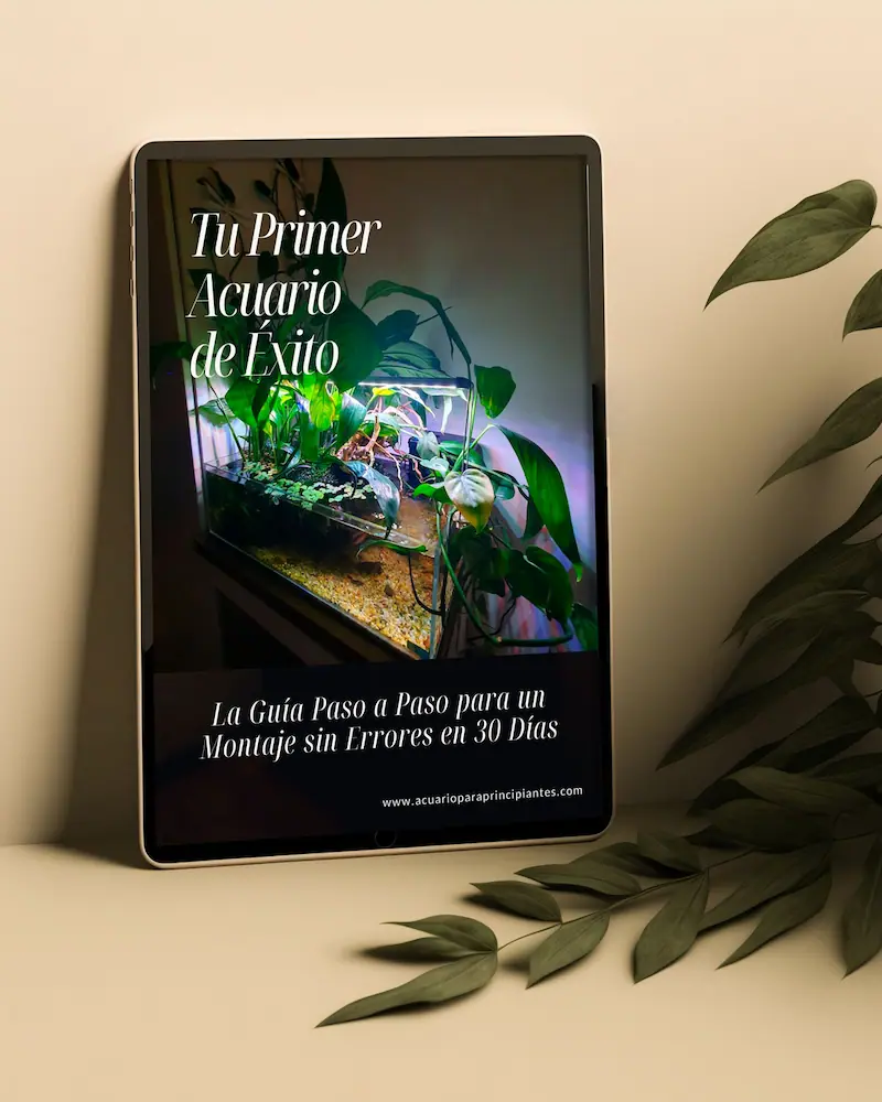 acuario para principiantes